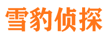 个旧市侦探调查公司